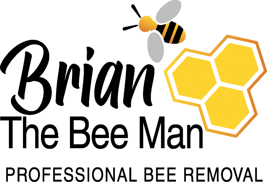 Brian The Bee Man