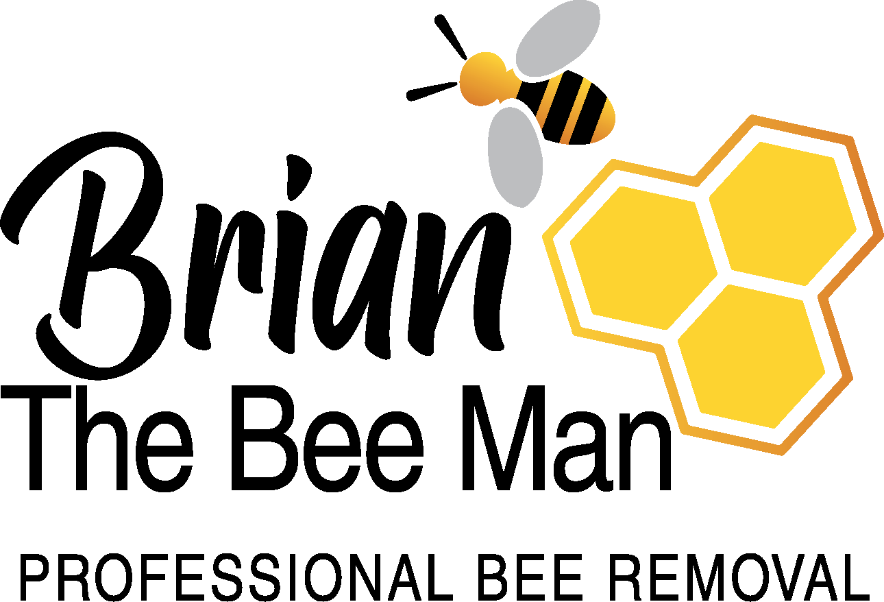 Brian The Bee Man